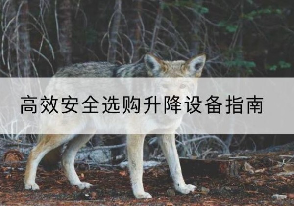 海原升降货梯厂家推荐-*安全选购升降设备指南