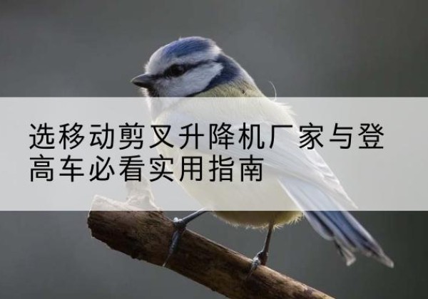 海原电动升降机厂家-选移动剪叉升降机厂家与登高车必看实用指南
